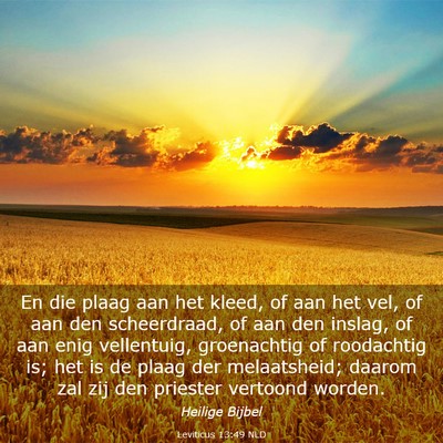 Picture 03 - Leviticus 13:49 NLD - En die plaag aan het kleed, of aan het vel, of - Bible Verse Picture