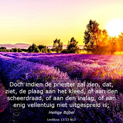 Picture 03 - Leviticus 13:53 NLD - Doch indien de priester zal zien, dat, ziet, de - Bible Verse Picture