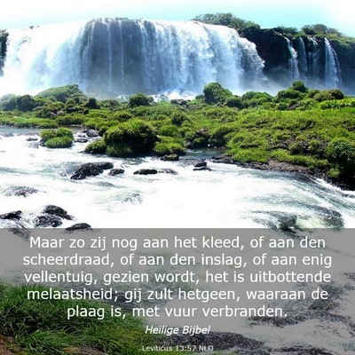 Picture 03 - Leviticus 13:57 NLD - Maar zo zij nog aan het kleed, of aan den - Bible Verse Picture