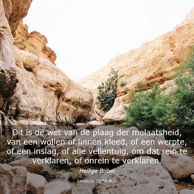 Picture 03 - Leviticus 13:59 NLD - Dit is de wet van de plaag der melaatsheid, van - Bible Verse Picture