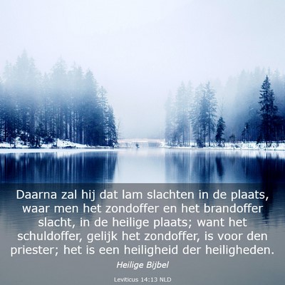 Picture 03 - Leviticus 14:13 NLD - Daarna zal hij dat lam slachten in de plaats, - Bible Verse Picture