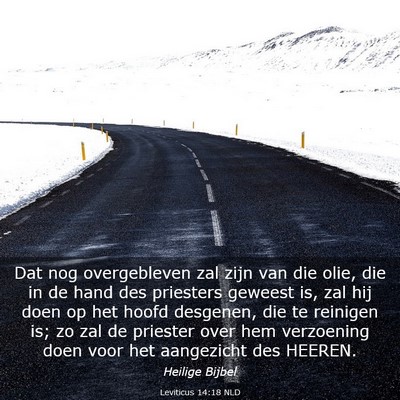 Picture 03 - Leviticus 14:18 NLD - Dat nog overgebleven zal zijn van die olie, die - Bible Verse Picture
