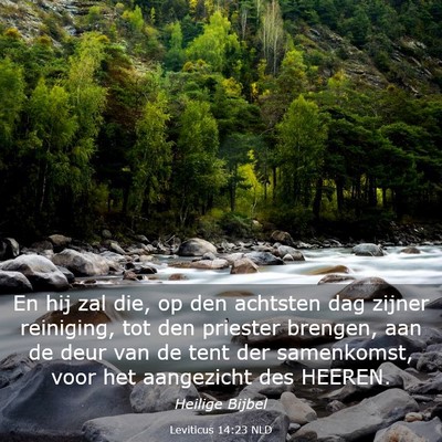Picture 03 - Leviticus 14:23 NLD - En hij zal die, op den achtsten dag zijner - Bible Verse Picture