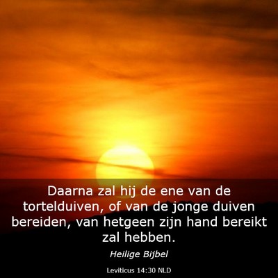 Picture 03 - Leviticus 14:30 NLD - Daarna zal hij de ene van de tortelduiven, of van - Bible Verse Picture