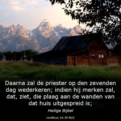 Picture 03 - Leviticus 14:39 NLD - Daarna zal de priester op den zevenden dag - Bible Verse Picture