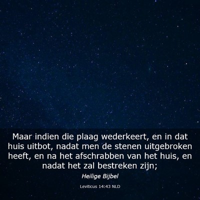 Picture 03 - Leviticus 14:43 NLD - Maar indien die plaag wederkeert, en in dat huis - Bible Verse Picture