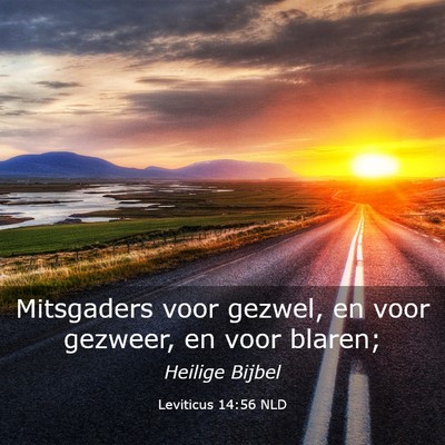 Picture 03 - Leviticus 14:56 NLD - Mitsgaders voor gezwel, en voor gezweer, en voor - Bible Verse Picture