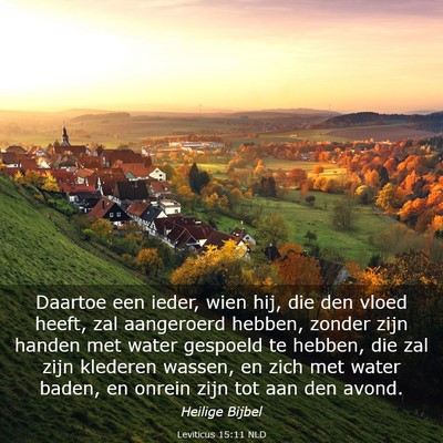 Picture 03 - Leviticus 15:11 NLD - Daartoe een ieder, wien hij, die den vloed heeft, - Bible Verse Picture