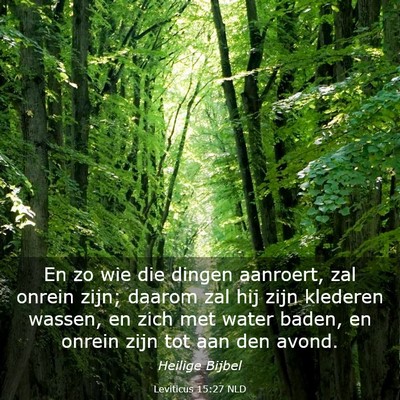 Picture 03 - Leviticus 15:27 NLD - En zo wie die dingen aanroert, zal onrein zijn; - Bible Verse Picture