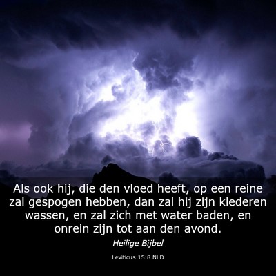 Picture 03 - Leviticus 15:8 NLD - Als ook hij, die den vloed heeft, op een reine - Bible Verse Picture
