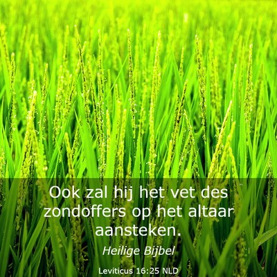 Picture 03 - Leviticus 16:25 NLD - Ook zal hij het vet des zondoffers op het altaar - Bible Verse Picture