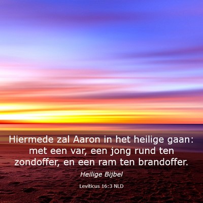 Picture 03 - Leviticus 16:3 NLD - Hiermede zal Aaron in het heilige gaan: met een - Bible Verse Picture