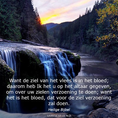 Picture 03 - Leviticus 17:11 NLD - Want de ziel van het vlees is in het bloed; - Bible Verse Picture
