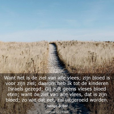 Picture 03 - Leviticus 17:14 NLD - Want het is de ziel van alle vlees; zijn bloed is - Bible Verse Picture