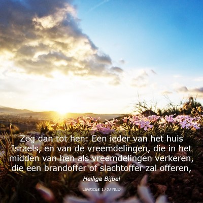 Picture 03 - Leviticus 17:8 NLD - Zeg dan tot hen: Een ieder van het huis Israels, - Bible Verse Picture