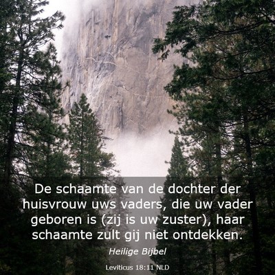 Picture 03 - Leviticus 18:11 NLD - De schaamte van de dochter der huisvrouw uws - Bible Verse Picture