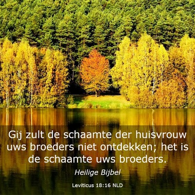 Picture 03 - Leviticus 18:16 NLD - Gij zult de schaamte der huisvrouw uws broeders - Bible Verse Picture