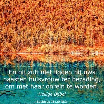 Picture 03 - Leviticus 18:20 NLD - En gij zult niet liggen bij uws naasten huisvrouw - Bible Verse Picture
