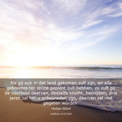 Picture 03 - Leviticus 19:23 NLD - Als gij ook in dat land gekomen zult zijn, en - Bible Verse Picture
