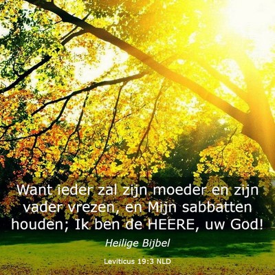 Picture 03 - Leviticus 19:3 NLD - Want ieder zal zijn moeder en zijn vader vrezen, - Bible Verse Picture