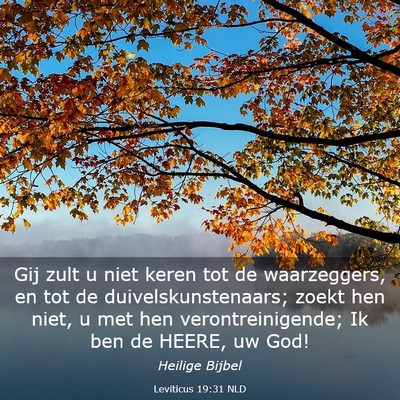 Picture 03 - Leviticus 19:31 NLD - Gij zult u niet keren tot de waarzeggers, en tot - Bible Verse Picture