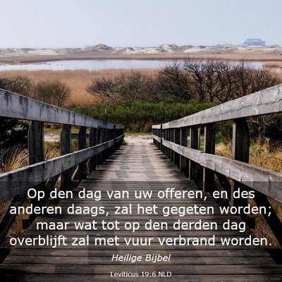 Picture 03 - Leviticus 19:6 NLD - Op den dag van uw offeren, en des anderen daags, - Bible Verse Picture