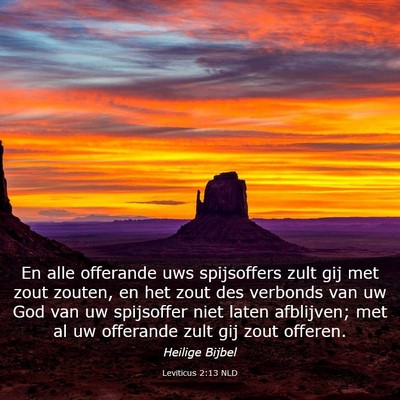 Picture 03 - Leviticus 2:13 NLD - En alle offerande uws spijsoffers zult gij met - Bible Verse Picture