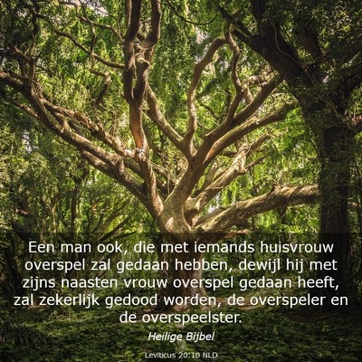Picture 03 - Leviticus 20:10 NLD - Een man ook, die met iemands huisvrouw overspel - Bible Verse Picture