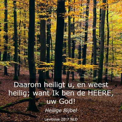 Picture 03 - Leviticus 20:7 NLD - Daarom heiligt u, en weest heilig; want Ik ben de - Bible Verse Picture