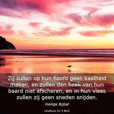 Picture 03 - Leviticus 21:5 NLD - Zij zullen op hun hoofd geen kaalheid maken, en - Bible Verse Picture