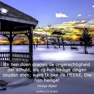 Picture 03 - Leviticus 22:16 NLD - En hen doen dragen de ongerechtigheid der schuld, - Bible Verse Picture