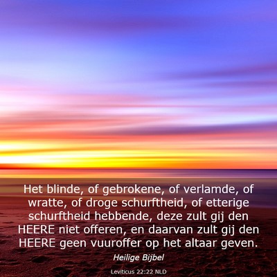 Picture 03 - Leviticus 22:22 NLD - Het blinde, of gebrokene, of verlamde, of wratte, - Bible Verse Picture