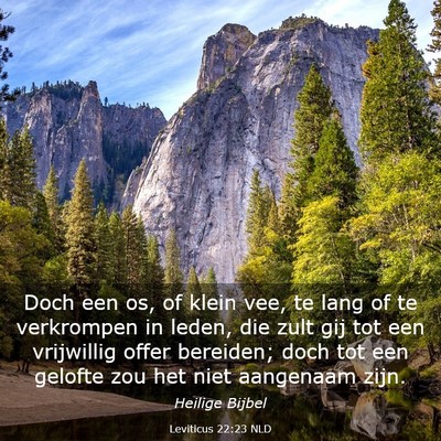Picture 03 - Leviticus 22:23 NLD - Doch een os, of klein vee, te lang of te - Bible Verse Picture