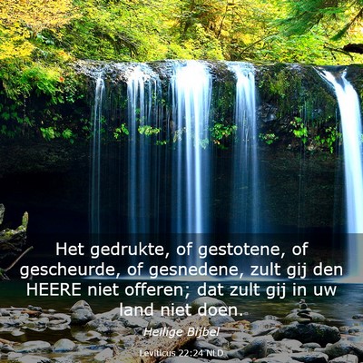 Picture 03 - Leviticus 22:24 NLD - Het gedrukte, of gestotene, of gescheurde, of - Bible Verse Picture
