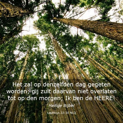 Picture 03 - Leviticus 22:30 NLD - Het zal op denzelfden dag gegeten worden; gij - Bible Verse Picture