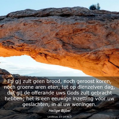Picture 03 - Leviticus 23:14 NLD - En gij zult geen brood, noch geroost koren, noch - Bible Verse Picture