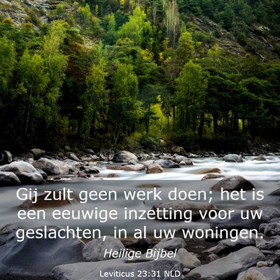 Picture 03 - Leviticus 23:31 NLD - Gij zult geen werk doen; het is een eeuwige - Bible Verse Picture