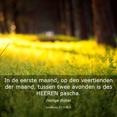Picture 03 - Leviticus 23:5 NLD - In de eerste maand, op den veertienden der maand, - Bible Verse Picture