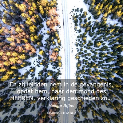 Picture 03 - Leviticus 24:12 NLD - En zij leidden hem in de gevangenis, opdat hem, - Bible Verse Picture