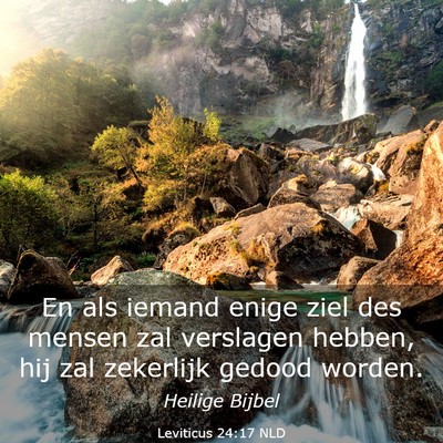 Picture 03 - Leviticus 24:17 NLD - En als iemand enige ziel des mensen zal verslagen - Bible Verse Picture