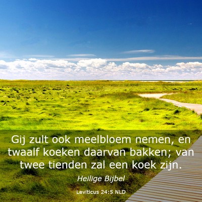 Picture 03 - Leviticus 24:5 NLD - Gij zult ook meelbloem nemen, en twaalf koeken - Bible Verse Picture