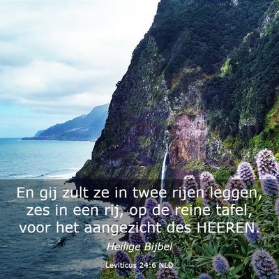 Picture 03 - Leviticus 24:6 NLD - En gij zult ze in twee rijen leggen, zes in een - Bible Verse Picture