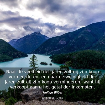 Picture 03 - Leviticus 25:16 NLD - Naar de veelheid der jaren zult gij zijn koop - Bible Verse Picture