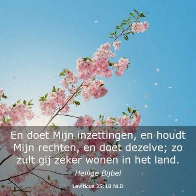 Picture 03 - Leviticus 25:18 NLD - En doet Mijn inzettingen, en houdt Mijn rechten, - Bible Verse Picture