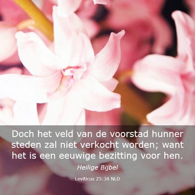 Picture 03 - Leviticus 25:34 NLD - Doch het veld van de voorstad hunner steden zal - Bible Verse Picture