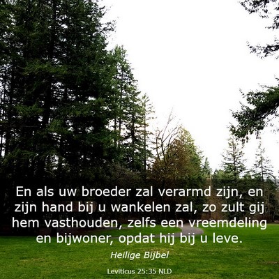 Picture 03 - Leviticus 25:35 NLD - En als uw broeder zal verarmd zijn, en zijn hand - Bible Verse Picture