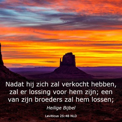 Picture 03 - Leviticus 25:48 NLD - Nadat hij zich zal verkocht hebben, zal er - Bible Verse Picture