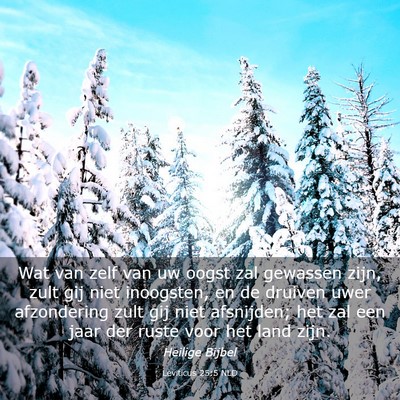 Picture 03 - Leviticus 25:5 NLD - Wat van zelf van uw oogst zal gewassen zijn, zult - Bible Verse Picture