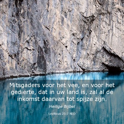 Picture 03 - Leviticus 25:7 NLD - Mitsgaders voor het vee, en voor het gedierte, - Bible Verse Picture