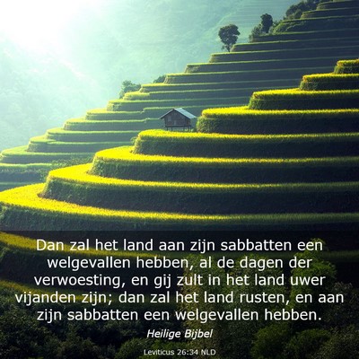 Picture 03 - Leviticus 26:34 NLD - Dan zal het land aan zijn sabbatten een - Bible Verse Picture